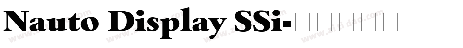 Nauto Display SSi字体转换